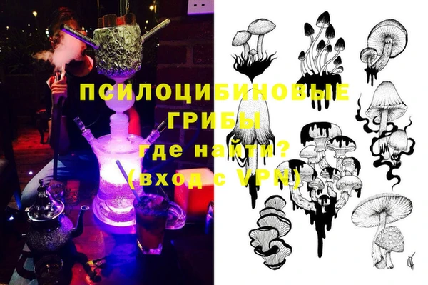 амф Балахна