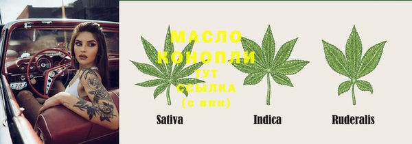 сатива Приозерск