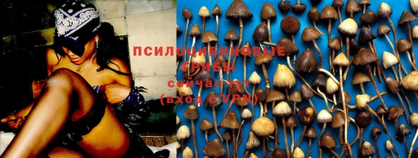 амф Балахна